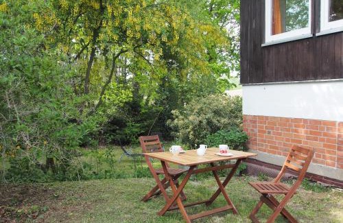 Dummer Appartement | Ferienwohnung am Dümmer See