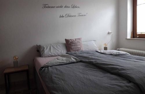 Bad Pyrmont Appartement | Ferienwohnung am Ginkgo Baum