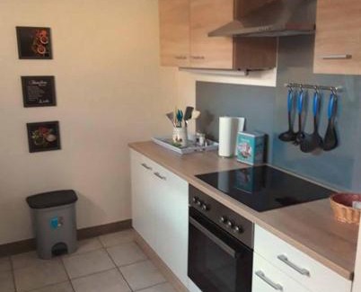 Bad Pyrmont Appartement | Ferienwohnung am Ginkgo Baum