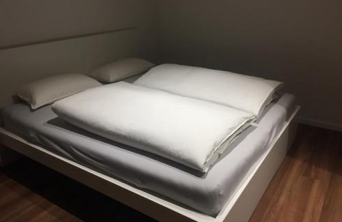 City Centre Regensburg Appartement | Ferienwohnung am Herzogspark