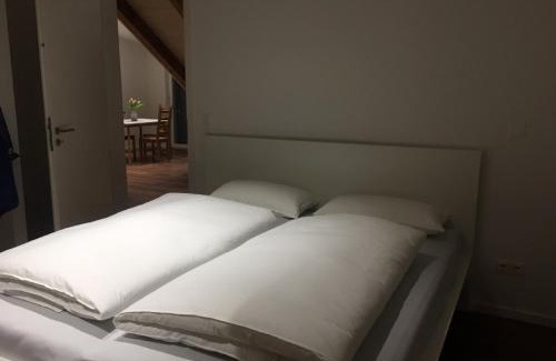 City Centre Regensburg Appartement | Ferienwohnung am Herzogspark