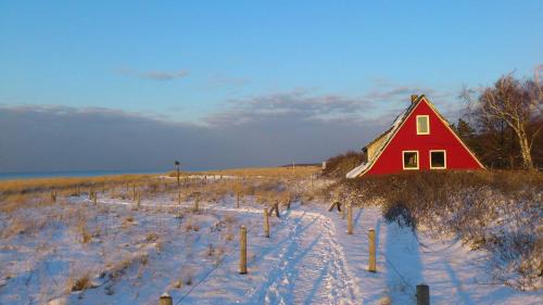 Markgrafenheide Appartement | Ferienwohnung am Meer