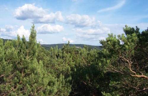 Schonau Appartement | Ferienwohnung am Pfaffenfels