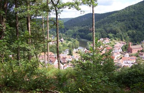 Schonau Appartement | Ferienwohnung am Pfaffenfels