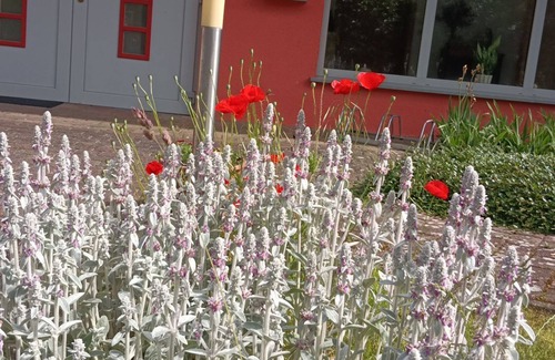 Lelkendorf Appartement | Ferienwohnung am Schloss