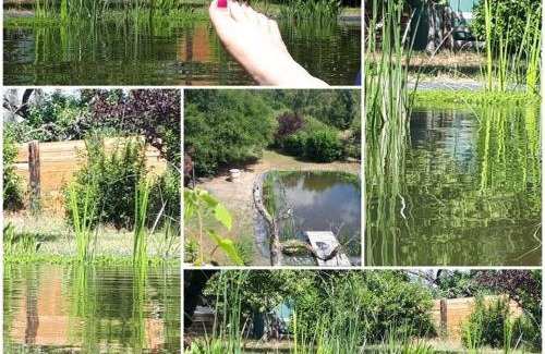 Lachendorf Appartement | Ferienwohnung am Schwimmteich 2