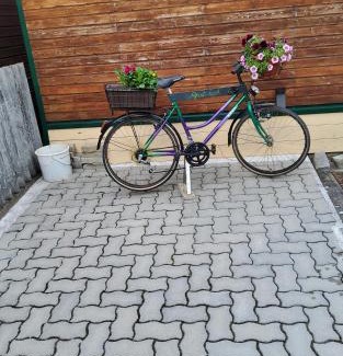 Schwarzenau Appartement | Ferienwohnung am Thayatalradweg