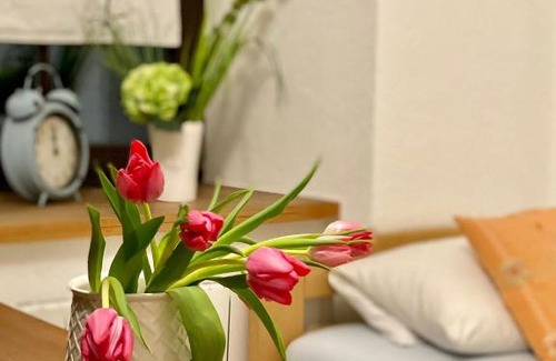 Meissen Appartement | Ferienwohnung am Weinberg
