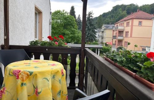 Stadt Wehlen Appartement | Ferienwohnung an der Rosenstraße