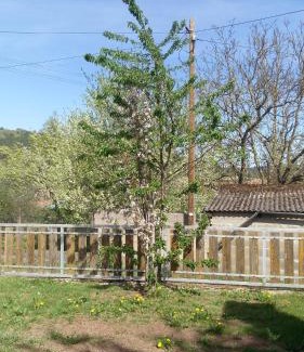 Maroldsweisach Appartement | Ferienwohnung Anna
