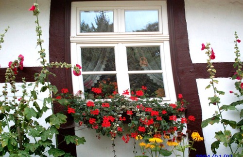Muritz Appartement | Ferienwohnung/app. für 5 Gäste mit 75m² in Ulrichshusen