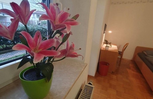 Zwingenberg Appartement | Ferienwohnung/app. für 2 Gäste mit 24m² in Zwingenberg