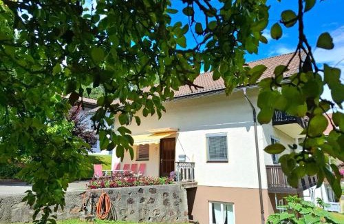 Dellach im Drautal Appartement | Ferienwohnung Grünspecht