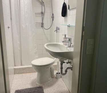 Kaiserslautern Appartement | Ferienwohnung auf dem Betzenberg