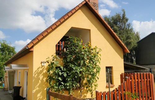 Saal Appartement | Ferienwohnung auf dem Lande