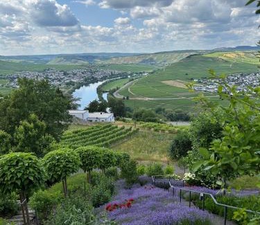 Zummeterhof Appartement | Ferienwohnung "Auszeit Im alten Weinberg"