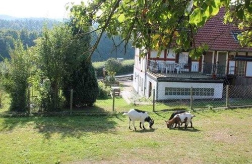 Bringhausen Appartement | Ferienwohnung Bärenhöhle - Ferienwohnungen Kupille