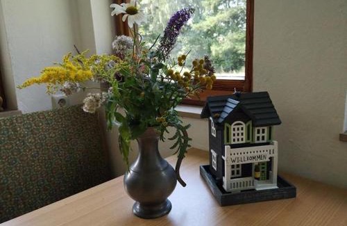 Reinsehlen Appartement | Ferienwohnung Bachforelle