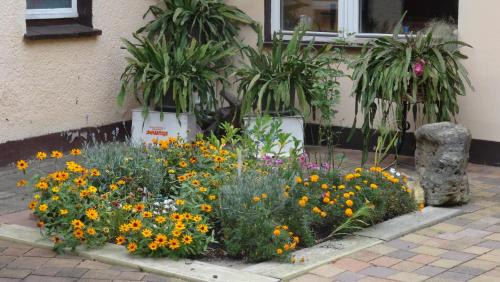 Gebesee Appartement | Ferienwohnung bei Erfurt