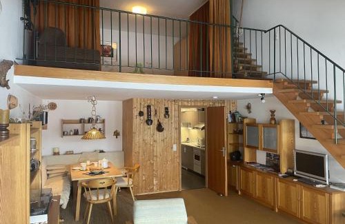 Steibis Appartement | Ferienwohnung Berganemone