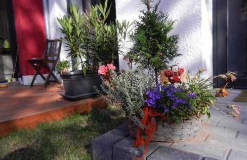 Andreasvorstadt Appartement | Ferienwohnung Blumenstraße 81