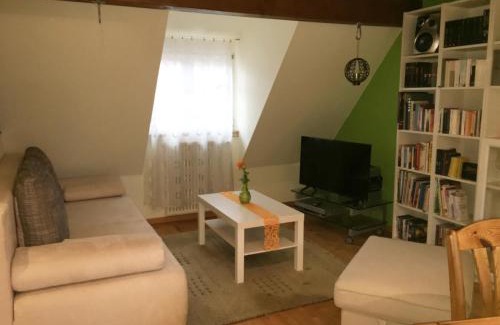 Brombachtal Appartement | Ferienwohnung Boellsteiner Hoehe
