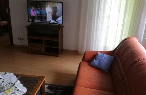 Uehlingen-Birkendorf Appartement | Ferienwohnung Josefa Ganter 80qm