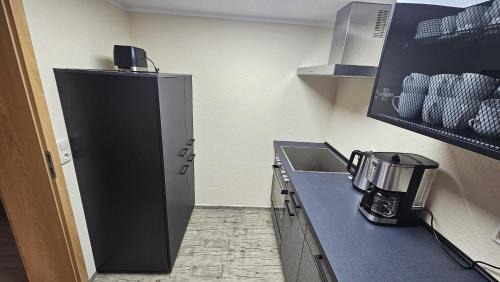 Bad Klosterlausnitz Appartement | Ferienwohnung am Schwanenteich