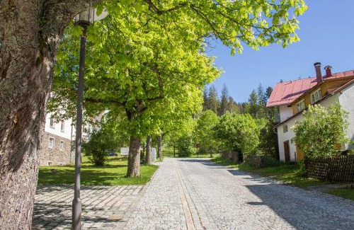 Bayerisch Eisenstein Appartement | Ferienwohnung Treml