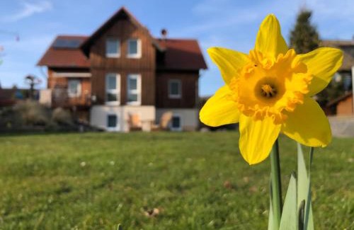 Hedemunden Appartement | Ferienwohnung Werrablick Hedemünden - Gartenbenutzung mit Grill - WLAN