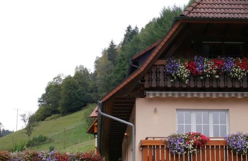 Wolfach - Saint Roman Appartement | Ferienwohnung Eulennest