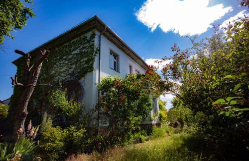 Bad Belzig Appartement | Ferienwohnung Fläming