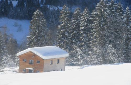 Dalaas Appartement | Ferienwohnung Freiraum