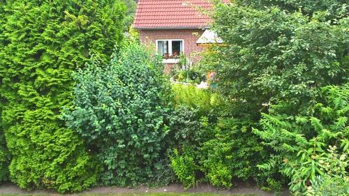 Bockhorn Appartement | Ferienwohnung Fuchskuhle