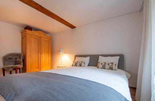 Obergesteln Appartement | Ferienwohnung Gabschi