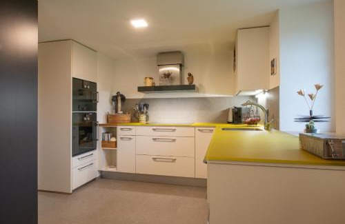 Obergesteln Appartement | Ferienwohnung Gabschi