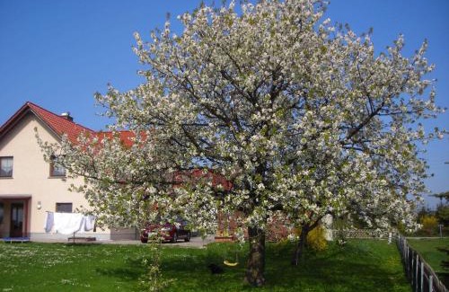 Stolpen Appartement | Ferienwohnung Gisela Kästner Stolpen
