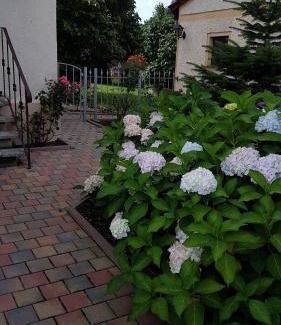 Grimma Appartement | Ferienwohnung Grimma