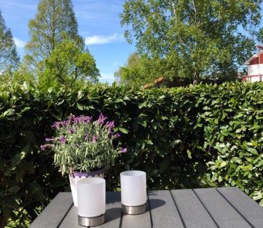 Obernkirchen Appartement | Ferienwohnung Härtings Hygge