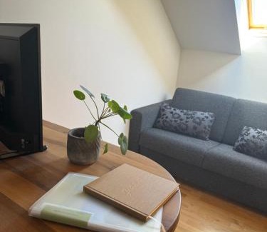 Thannhausen Appartement | Ferienwohnung Harrer