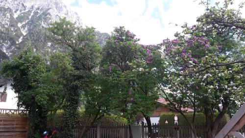 Mittenwald Appartement | Ferienwohnung Haus Bergesruh