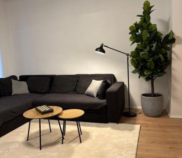 Aue Appartement | Ferienwohnung Haus Paraschiv