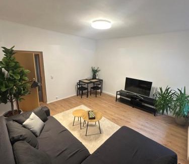 Aue Appartement | Ferienwohnung Haus Paraschiv