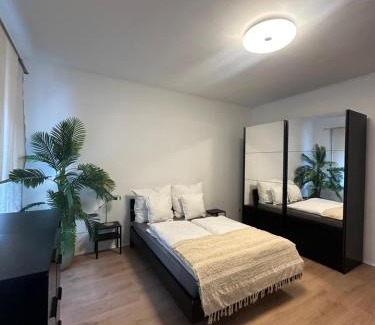 Aue Appartement | Ferienwohnung Haus Paraschiv