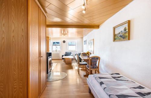 Engen Appartement | Ferienwohnung Hewenpanorama 1