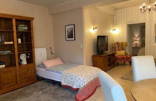 Luegde Appartement | Ferienwohnung Holland 5
