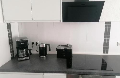 Blumenberg Appartement | Ferienwohnung II Sarrebriese