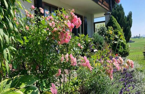 Rofleuten Appartement | Ferienwohnung im Haus Dorn-Röschen