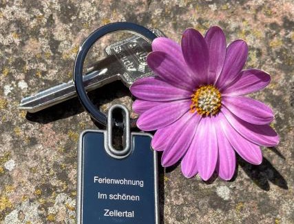 Wachenheim Appartement | Ferienwohnung im schönen Zellertal, mit 22 kw Wallbox