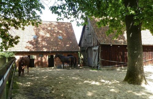 Dorfmark Appartement | Ferienwohnung in Dorfmark